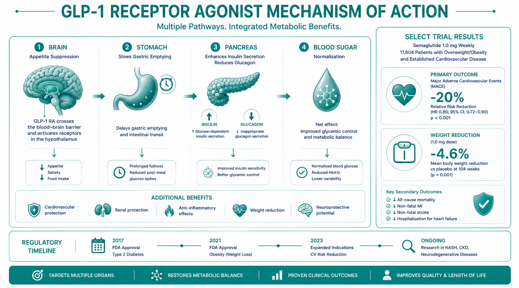 GLP-1 Receptor Agonist Mechanism - Ozempic Semaglutide