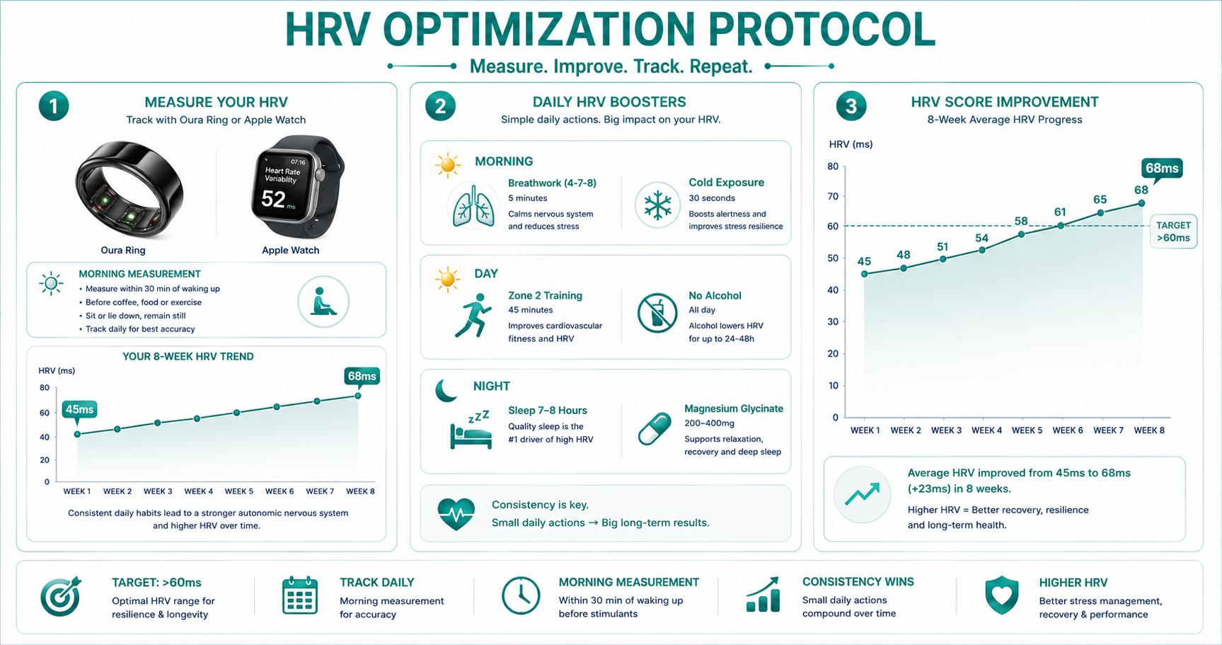 Protocol visualization
