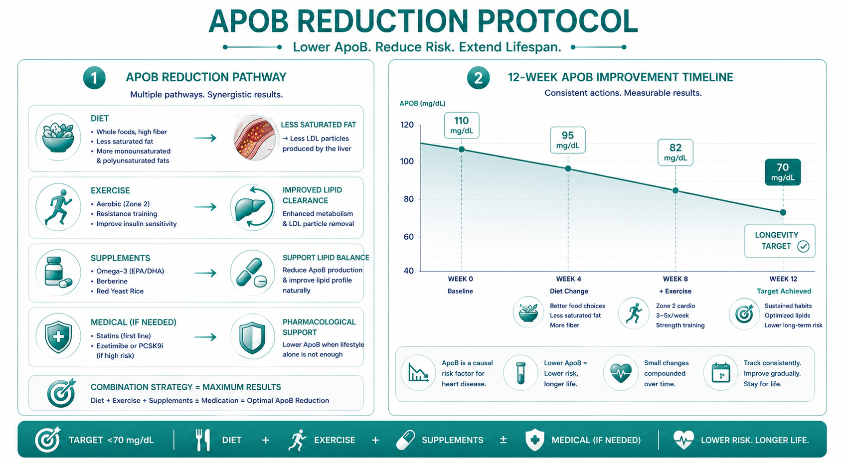 Protocol visualization