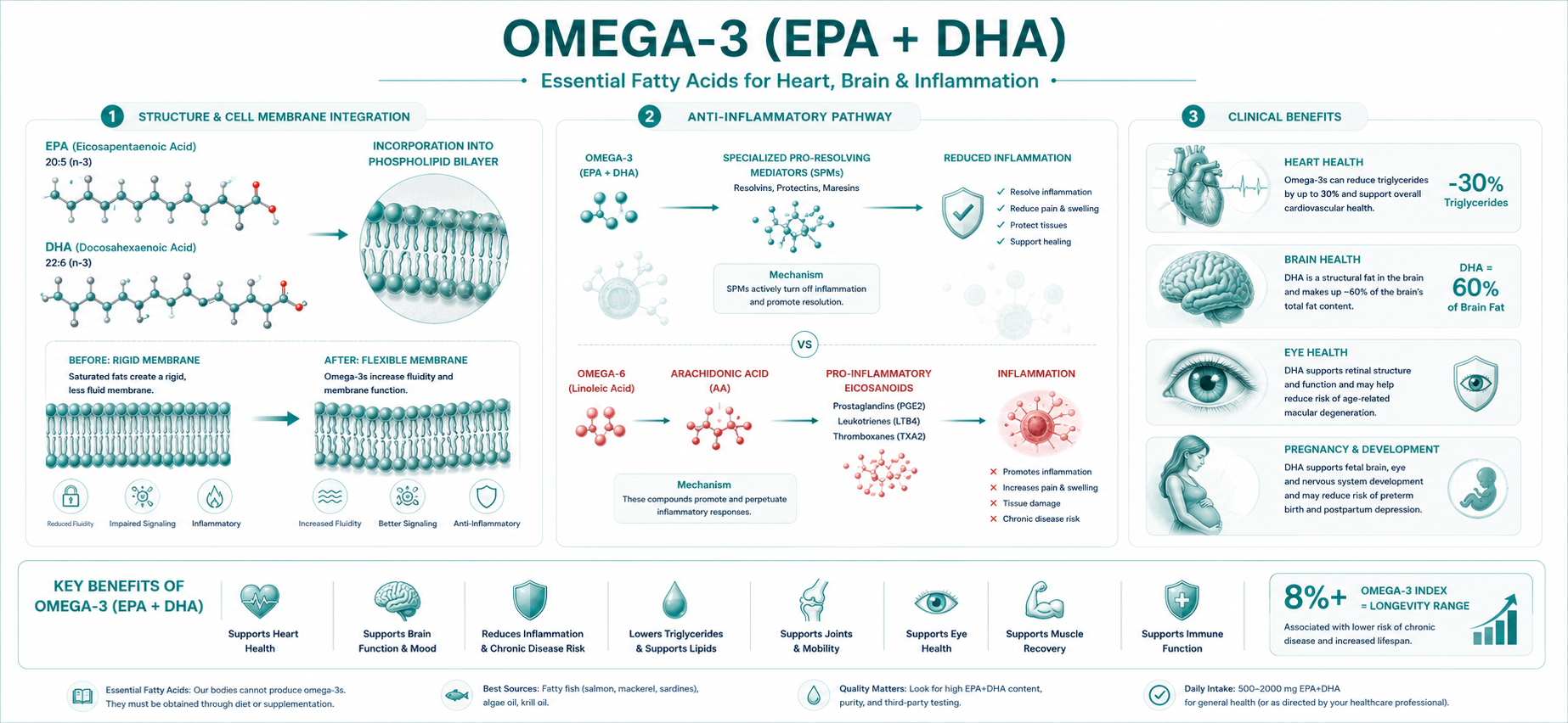 Omega-3 EPA DHA cell membrane